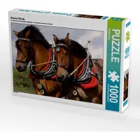 CALVENDO Starke Pferde 1000 Teile Puzzle quer 640x480mm, Berg Martina; 7380561