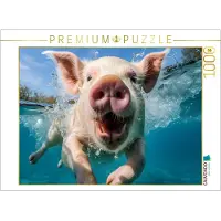 CALVENDO Puzzle "Glücksschwein" | 1000 Teile, fertige Größe 64 x 48 cm | Fotopuzzle für entspannte Stunden