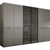 3Xeliving Kleiderschrank, Platingrau / klares Glas, 3 x 100 x 200 x 51 cm