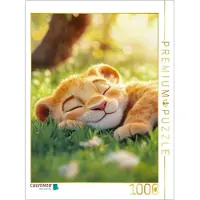 CALVENDO Puzzle – Eine fantasievolle Tierwelt | 1000 Teile, fertige Größe: 64 x 48 cm | Fotopuzzle für entspannte Stunden