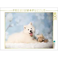 CALVENDO Puzzle: Ein junger Samojede-Hund lächelt in die Kamera | 1000 Teile, fertige Größe: 64 x 48 cm | Fotopuzzle für entspannte Stunden