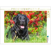CALVENDO Puzzle – Eine wunderschöne Frau | 1000 Teile, fertige Größe: 64 x 48 cm | Fotopuzzle für entspannte Stunden