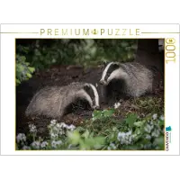 CALVENDO Puzzle – Dachs | 1000 Teile, fertige Größe: 64 x 48 cm | Fotopuzzle für entspannte Stunden