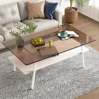OKWISH Couchtisch Glasplatte Metallbeine mit Stauraum Rechteckiges Design moderner Wohnzimmertisch Braun+Weiß