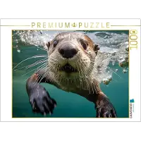 CALVENDO Puzzle: Niedliches Otter-Motiv | 1000 Teile, fertige Größe: 64 x 48 cm | Fotopuzzle für entspannte Stunden