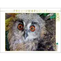 CALVENDO Puzzle Junguhu – Tierarztpraxis Weidenhausen | 1000 Teile, fertige Größe: 64 x 48 cm | Fotopuzzle für entspannte Stunden
