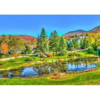 Bluebird Puzzle Puzzle Stowe Vermont USA - 1000 Teile
