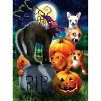 Sunsout Puzzle Halloween Katze - 1000 Teile Karton Puzzlespiel