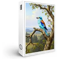 Raxxa Premium-Puzzle "Blauracke - europäischer Vogel", 1000 Teile