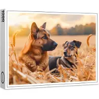 Raxxa Premium-Puzzle "German Shepherd and Canine Pal Sit in Wheat Field", 1000 Teile