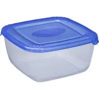 PLAST TEAM Vertriebs GmbH plast team Gefrierdose Polar 0,46 Liter blau quadratisch