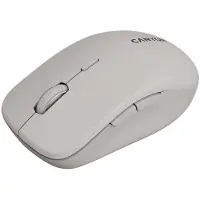 Canyon Mouse MW-12 Dual band Wireless Beige - Maus - 2.400 dpi