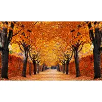 Papermoon Fototapete "Autumn Alley", bunt, B:1,5m L:1,11m, Vlies, Tapeten, Fototapete