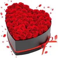 Vevor 50 Stk. Ewige Rosen in Herzform Box