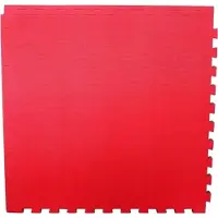 Master Tatami Taekwondo Matte 100 x 100 x 4 cm