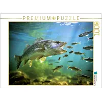 CALVENDO Puzzle Zander im See – einfach unwiderstehlich. | 1000 Teile Lege-Größe 64 × 48 cm Foto-Puzzle für glückliche Stunden