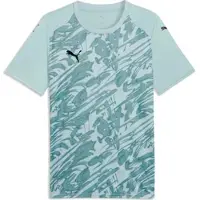 Puma Teamfinal Graphic Jersey modern mint-black-adriatic (41) XS