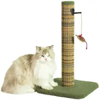 Zolux BOREAL M Kratzstamm 60 cm grün für Katzen