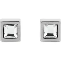 Calvin Klein Essential Links Ohrringe