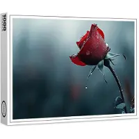 Raxxa Premium-Puzzle "Rose mit Wassertropfen", 1000 Teile