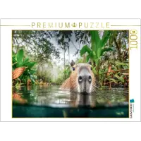 CALVENDO Puzzle: Hier ist es sehr friedlich beim Schwimmen. | 1000 Teile, fertige Größe: 64 x 48 cm | Fotopuzzle für entspannte Stunden