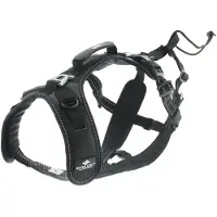 IDog Raidlight Hundegeschirr