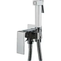 OEM Bidetarmatur, Messingkonstruktion, Wandmontage-Design, chrom