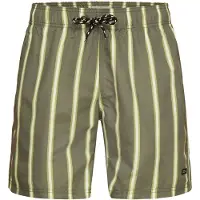 Blend Badeshorts "Shorts BHRick"