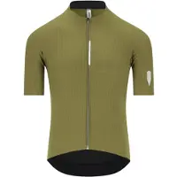 Q36.5 - Dottore Pro Jersey - Radtrikot Gr S oliv