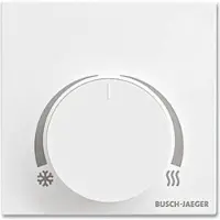 Busch-Jaeger SAR/A1.0.11-24 Raumtemperaturregler Bedienelement, Busch-Tenton 2CKA006134A0345 SARA101124