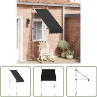 The Living Store Einziehbare Markise Handbetrieben 100 cm Anthrazit