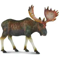 Collecta Erhöhte Zahl Mehrfarbig 3-6 Years Kinder Mehrfarbig 3-6 Years
