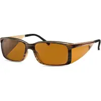Eschenbach Filterbrille Ambelis 16632 75% Polarisiert