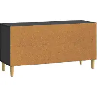 Syfax TV-Schränk 99 x 34,5 x 50 cm Schwarz Holzwerkstoff