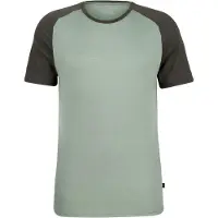 Stoic - Merino155 LaholmSt. Raglan Shirt - Merinoshirt Gr 3XL grau
