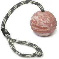 Julius-K9 Massiver Ball Mit Seil Sortiert