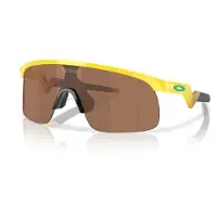 Oakley Resistor Sonnenbrille