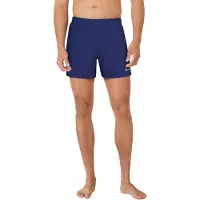 Nike Volley 5" Schwimmshort Herren XS