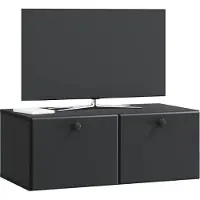 vidaXL Wandmontierter TV-Schrank 78,5 x 41 x 30 cm Schwarz