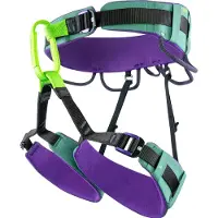 BEAL - Klettergurt &ndash; Unisex &ndash; Trinity - Trinity Green - Größe L - Grün