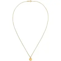 Elli Kette mit Anhänger "Halskette Plättchen Rund Gedrehte Kette 925 Silber" Gr. 45, gold, Halsketten, Damen, ohne Stein, Silber 925 (Sterlingsilber), Kette mit Anhänger
