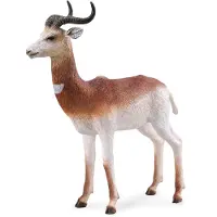 Collecta Gazelle Dame L Figur Braun 3-6 Years Braun 3-6 Years