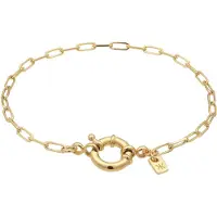 KUZZOI Armkette "Armband Glieder Oval Federring 925 Sterling Silber" Gr. 19, gold, Armbänder, Herren, 19, Silber 925 (Sterlingsilber), Armkette