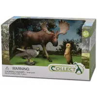 Collecta Wild Life Forest 3-teilige Figur In Geöffneter Box Mehrfarbig 3-6 Years Mehrfarbig 3-6 Years