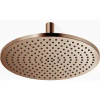 Dornbracht 28698970-42 RB m.Deckenanb. SERIENSPEZIFISCH