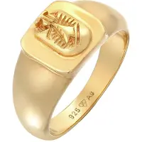 KUZZOI Ring Siegelring Wappen Pinky Ring Klassik 925 Silber Kuzzoi Gold