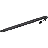 FEBI BILSTEIN Pneumaticka pruzina, zavazadlovy / nakladovy prostor