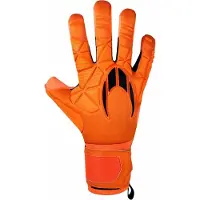 Ho Soccer Ssg Legend Ergo Gecko Torwarthandschuhe