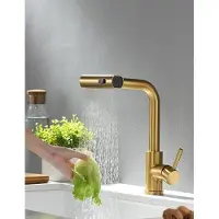 OEM 360-Gradige, einziehbare Küchenarmatur - geborstelter Gold (Warm- und Kalte-Wasserleitungen nicht enthalten)