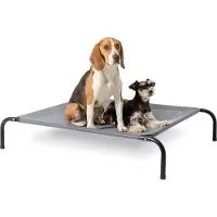 Markenlos Hundebett erhöht für mittelgroße Hunde - Grau, geeignet für Innen und Außen, Camping - Größe M: 105 x 80 cm, Höhe: 20 cm